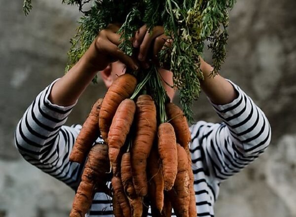 The Ecological Balance Of Organic Food: Behind The Scenes With An Organic Farmer!
