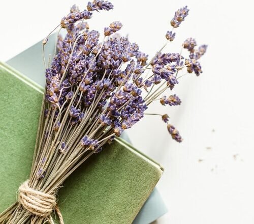 12 Books To Help You Reconnect With Your Body & Sexual Desires!
