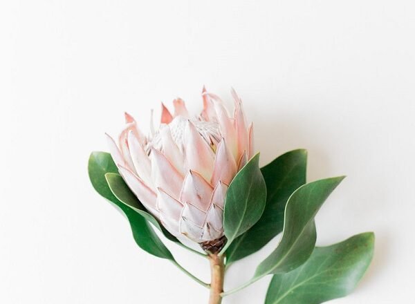 How To Combat Imposter Syndrome As A Creative!