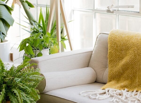Everything You Need To Know About Shopping For Used Furniture!