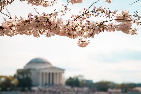 Beyond Politics, DC Is A New Hub For Social Impact!
