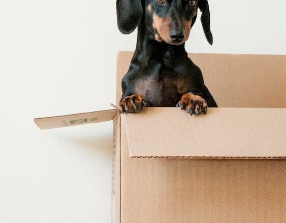 Is It A Good Idea To Move For Your Partner?
