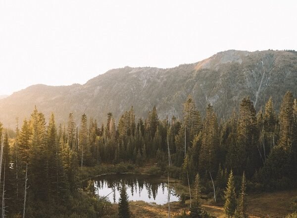 Sustainable City Guide: 10 Places To Stay, Eat, And Shop In Seattle, Washington!