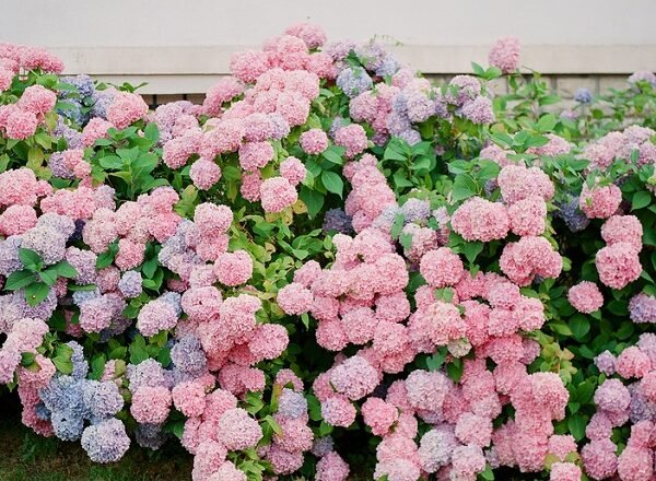 Shop Local This Summer At These 11 Pop-Up Shops & Makers Markets Across The Country!