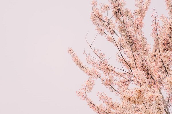Shop Local At These 6 Makers Markets This Spring!