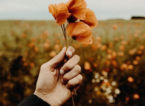 Sustainable City Guide: 11 Places To Stay, Eat & Shop In San Francisco, California!