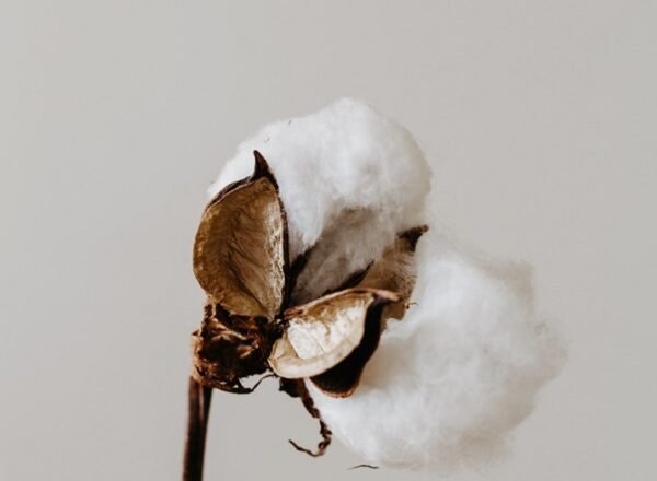 How Sustainable Can Our Fashion Be? A Look At Best Practices For Sustainable Supply Chains!