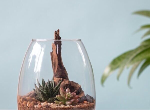 Bring The Outdoors In: How To Make Your Very Own Terrarium!