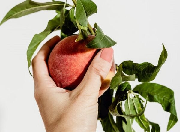 4 Natural Remedies For Low Libido!