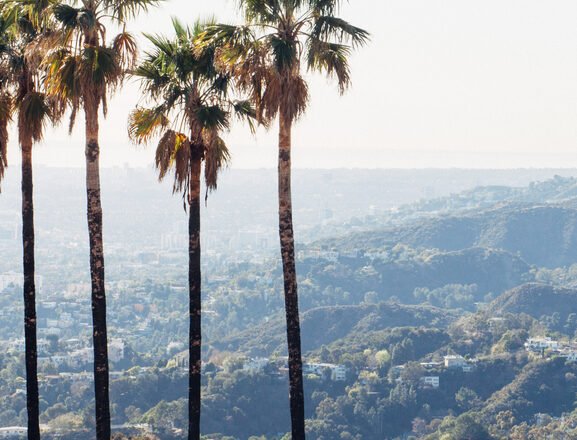 Sustainable City Guide: 11 Places To Stay, Eat, Shop, And Explore In Los Angeles, California!