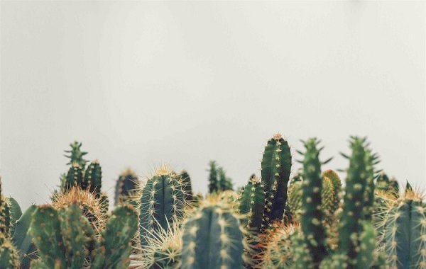 The Many Benefits Of Minimalism!