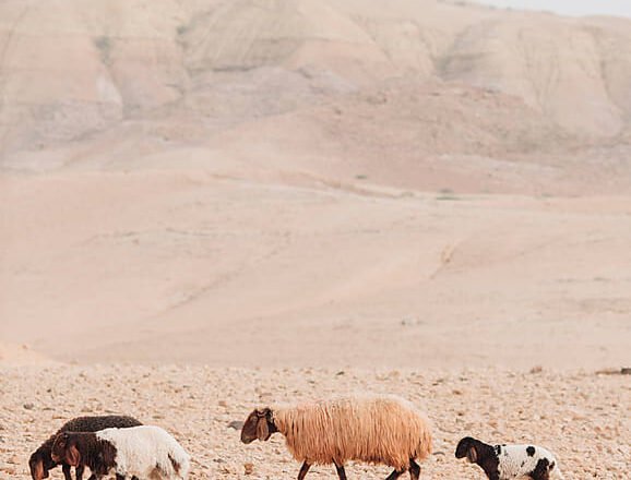 10 Podcasts That Inspire Cultural Awareness!