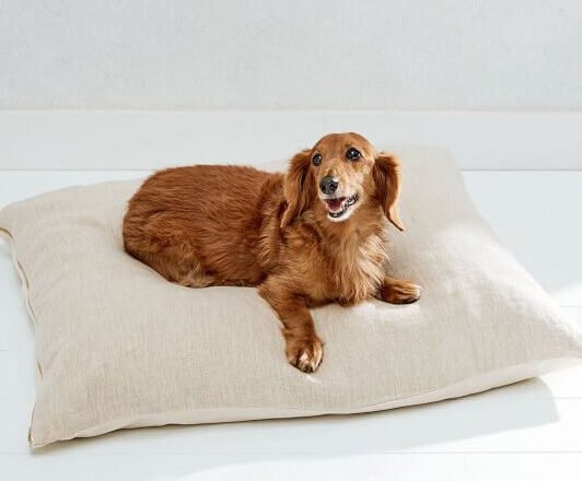 10 Sustainably Made Pet Beds For Dogs And Cats (And Rabbits, Too!)