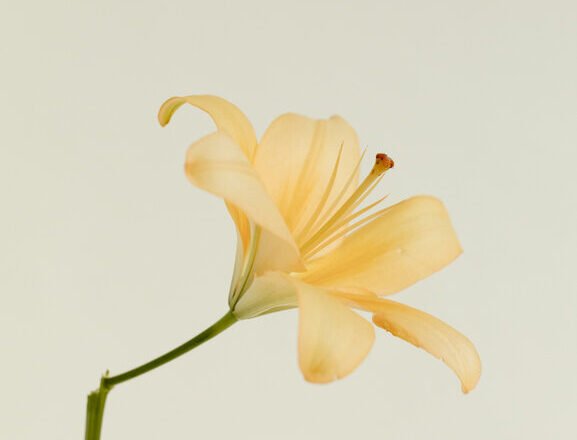 9 Instagram Accounts Changing The Conversations Around Mental Health!