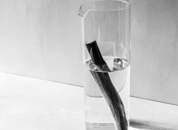 Go Plastic Free With These Charcoal Water Filters!