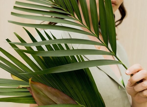 Summertime Sadness: How I’m Managing My Reverse Seasonal Affective Disorder!