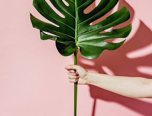 Demystifying Feminism: 5 Ways To Support Girl-Power Movements Around the Word!