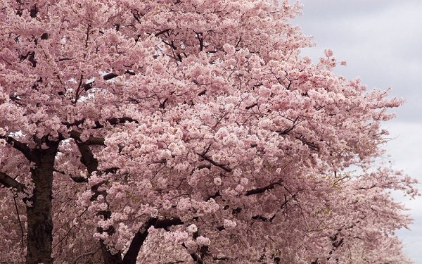7 Sustainable Eateries In Washington D.C. For The Traveling Foodie!