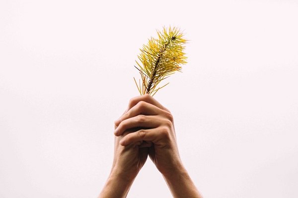 10 Simple Changes You Can Make To Live A More Green, Sustainable Life!