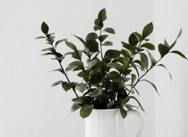 Your Complete Guide To Zero Waste Household Essentials In Every Category!