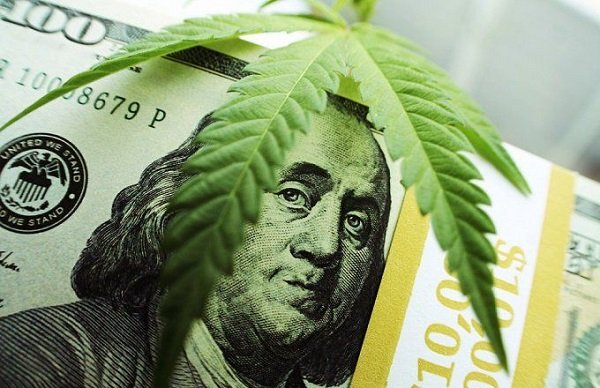 Here’s Top Cannabis Cryptos and Stocks for your Profit