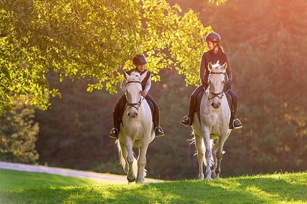 Equestrian Campgrounds 2022 All Details Here