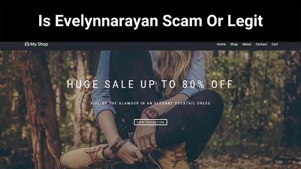 Is Evelynnarayan Scam Or Legit {2022} Test The Particulars Right here!