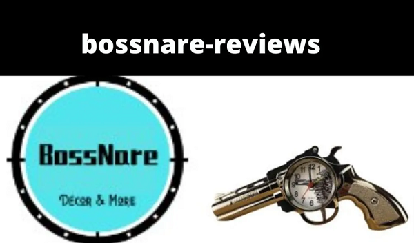 Bossnare com Website Review {2022} Detailed Website Review!