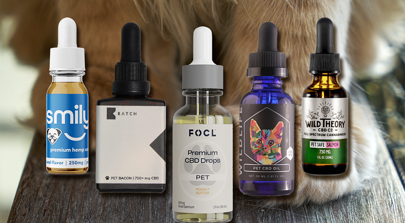 Explaining How We Chose Top CBD Oils