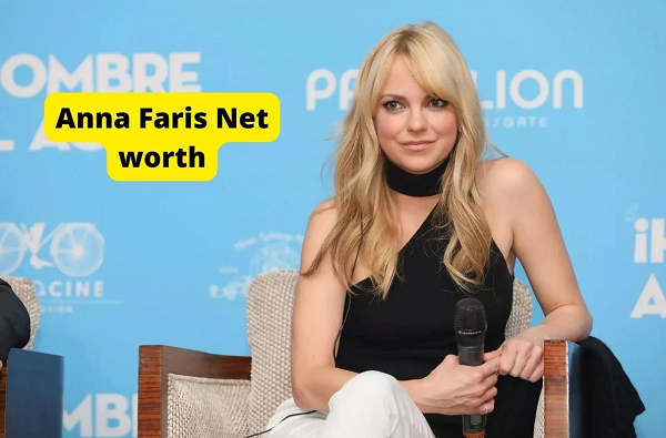 Anna Faris Net Worth