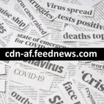 CDN AF.Feednews.Com – Everything You Should Know