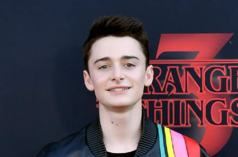 Is Noah Schnapp Dead