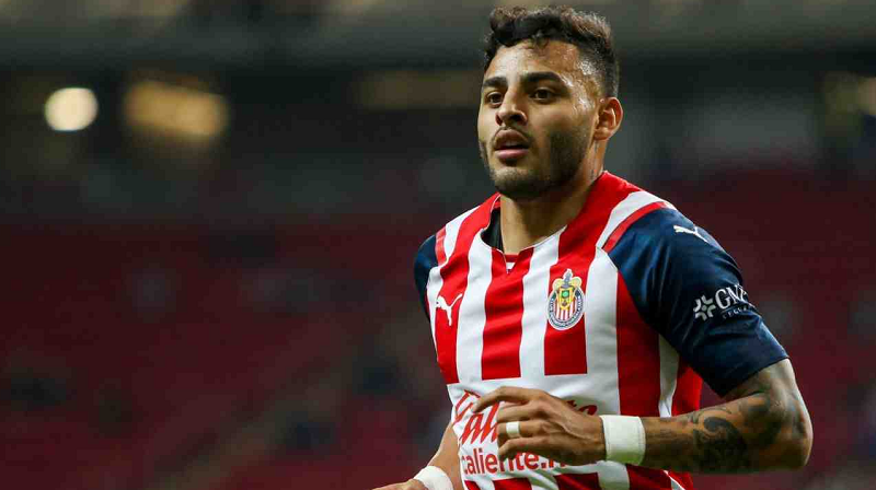Alexis Vega Net Worth 2024