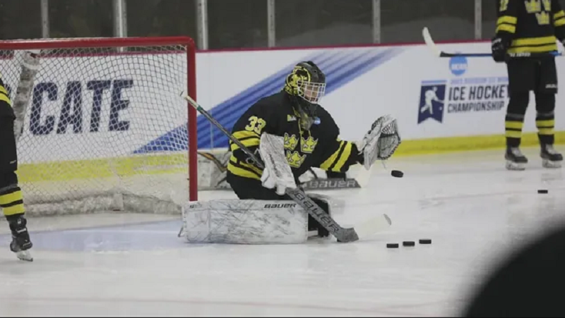Faribault High School Boys Hockey Team Accident